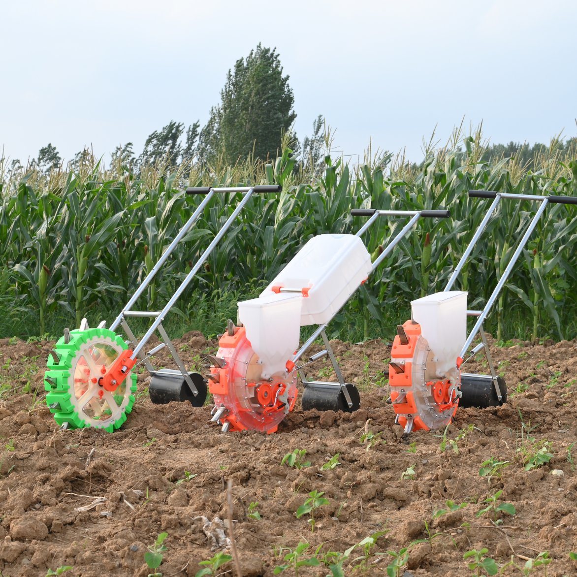 Hand Push Maize Seeder for Peanut Soybean Portable Corn Seeder Planter for Farm