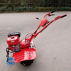 Hot Seller Water and Land Two Use Mini Rotary Crawler Power Tiller