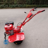 Farm Mini Tiller Cultivator with Plough Plowing Machines