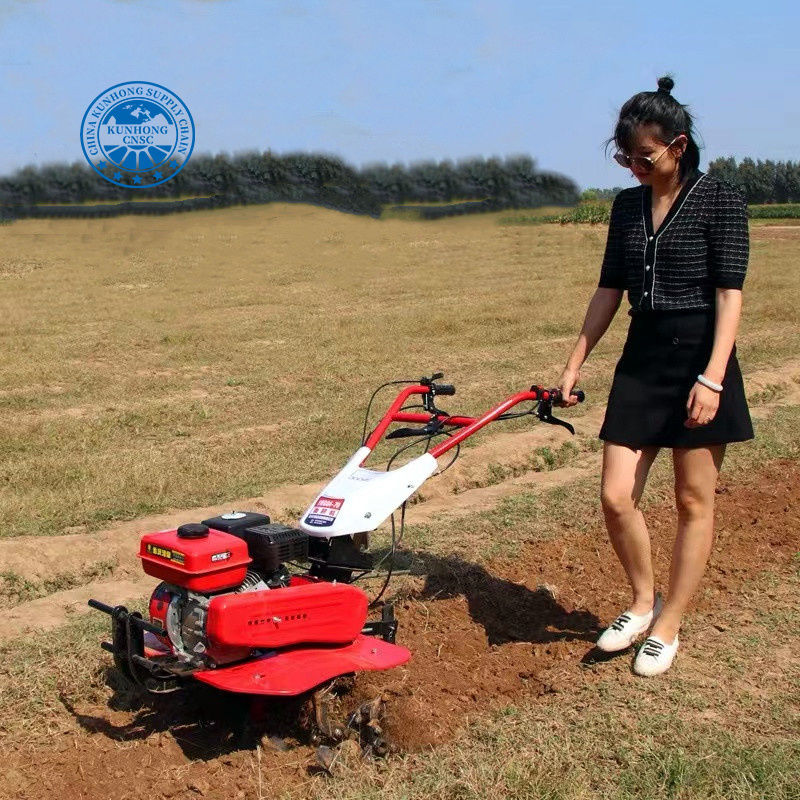 Rotary Driven Disc Plough Hand Walking Farm Machinery Mini Power Tiller