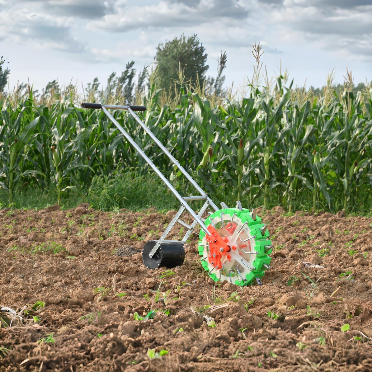 Sowing Sunflower Multi Crop Garden Grass Manual Steel Rice Direct Seeder