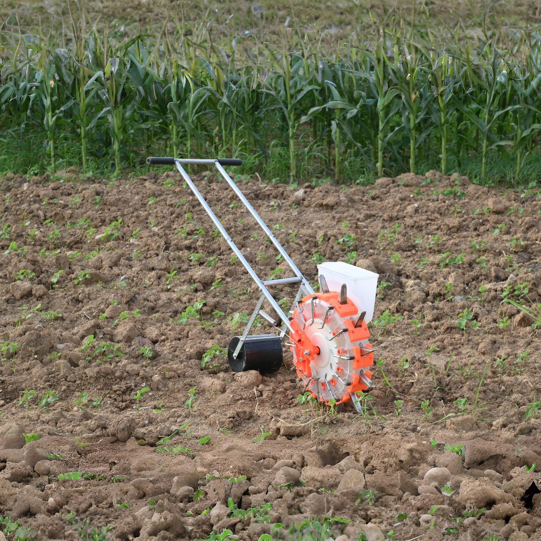 Greenhouse Planting The Agriculture Use Seeder and Fertilizer Hand Push Seeder