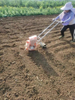 1 Row Hand Push Corn Seeder Vegetable Small Particle Seed Machine Seeder