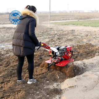 Agriculture Price 15HP Mini Tractor Farm Machines 10 HP Diesel Power Tiller