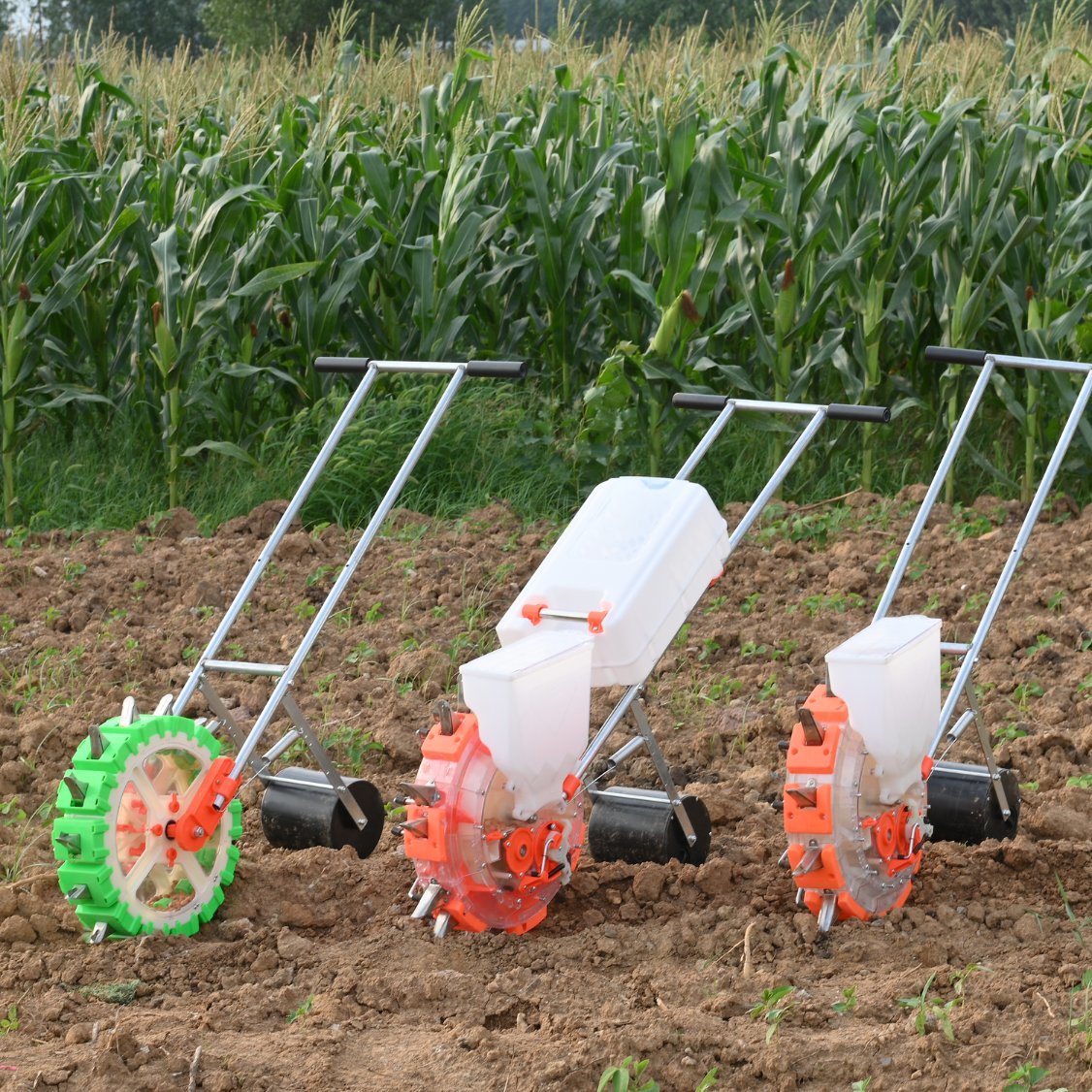 Tomato and Rice Plantations Use Hand-Pushed Automatic Feeding Seeder