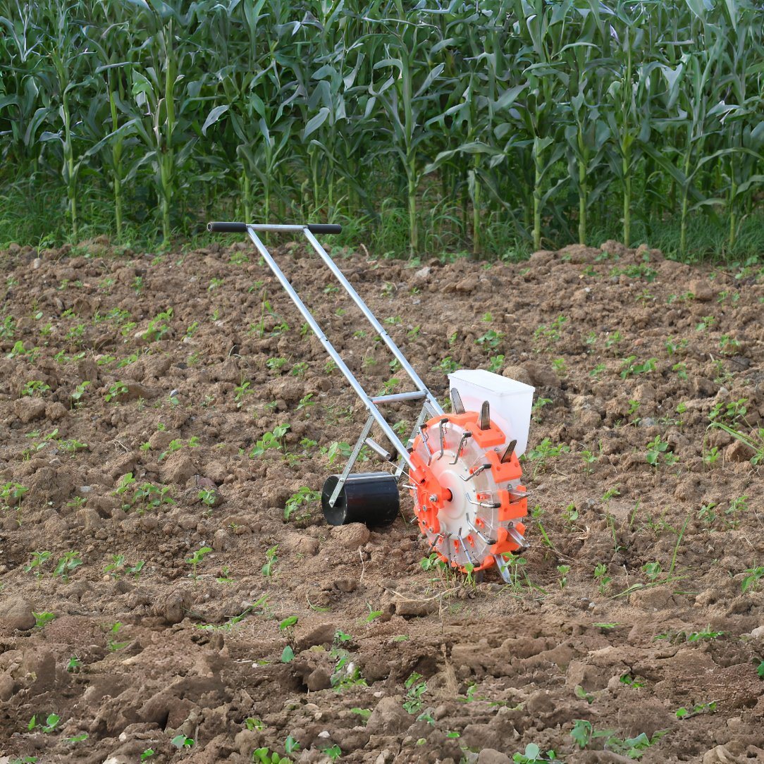 Tomato and Rice Plantations Use Hand-Pushed Automatic Feeding Seeder